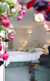 bed_and_breakfast_image.png