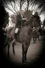 IMG_6973Hunt.jpg