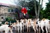 IMG_6896Hunt.jpg