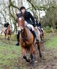 2G0P1175Hunt.jpg