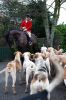 IMG_6889Hunt.jpg