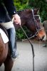 IMG_6959Hunt.jpg