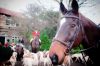IMG_6930Hunt.jpg